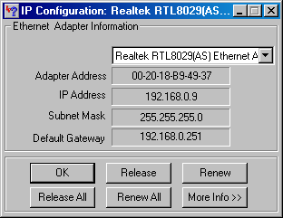 dhcp verification ip configuration winipcfg