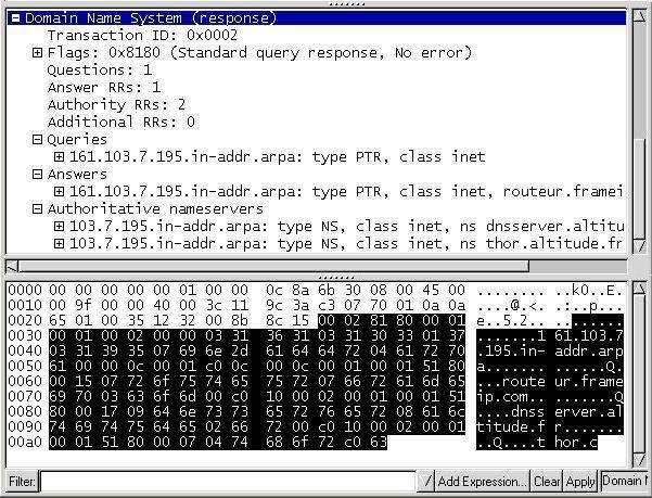 dns datagramme answer