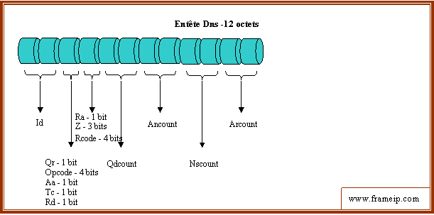 dns entete dns