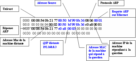 entete-arp arp reply