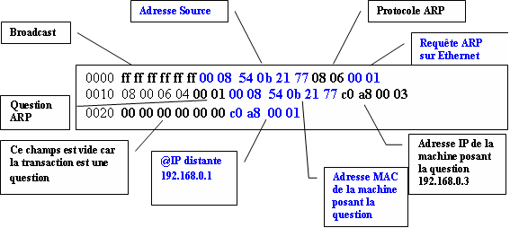 entete-arp arp request