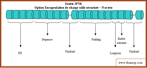 entete-ipv6 entete ipv6 option encapsulation charge utile securisee
