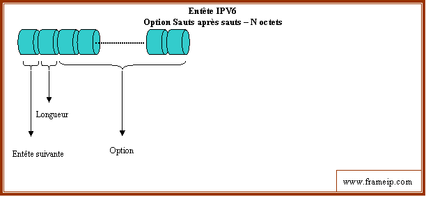 entete-ipv6 entete ipv6 option sauts
