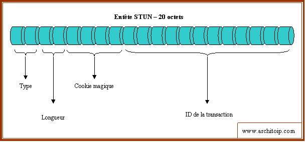 entete-stun entete stun
