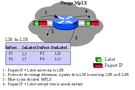 mpls commutation labels lib lsr