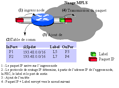 mpls commutation labels